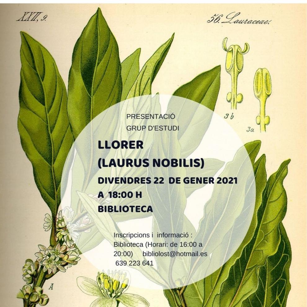 Presentació de l'estudi sobre el LLORER